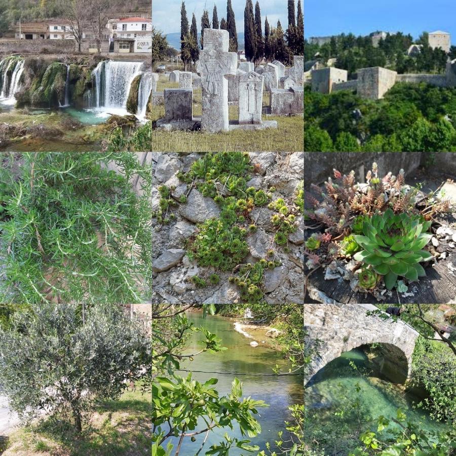 Holiday Home Sarin Most Stolac ภายนอก รูปภาพ